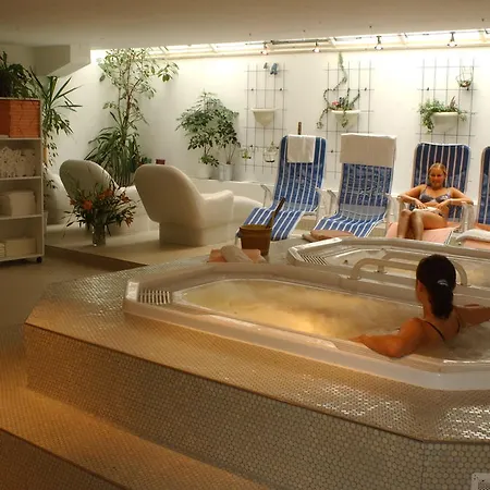 Md-hotel Gallus Hotel 3*