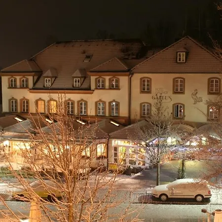 Otel Md-hotel Gallus